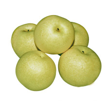 New Green Stone Pear (pera esmeralda)